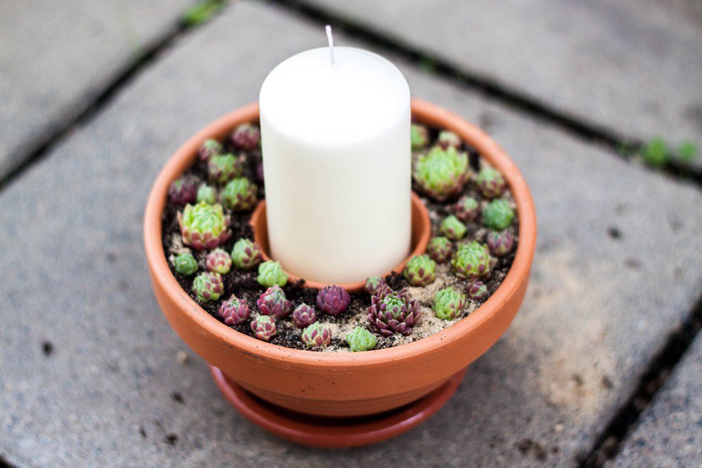 KosmonautinBlog's tweet image. Einfache DIY Sukkulenten Tischdeko kosmonautin.net/2016/08/einfac…