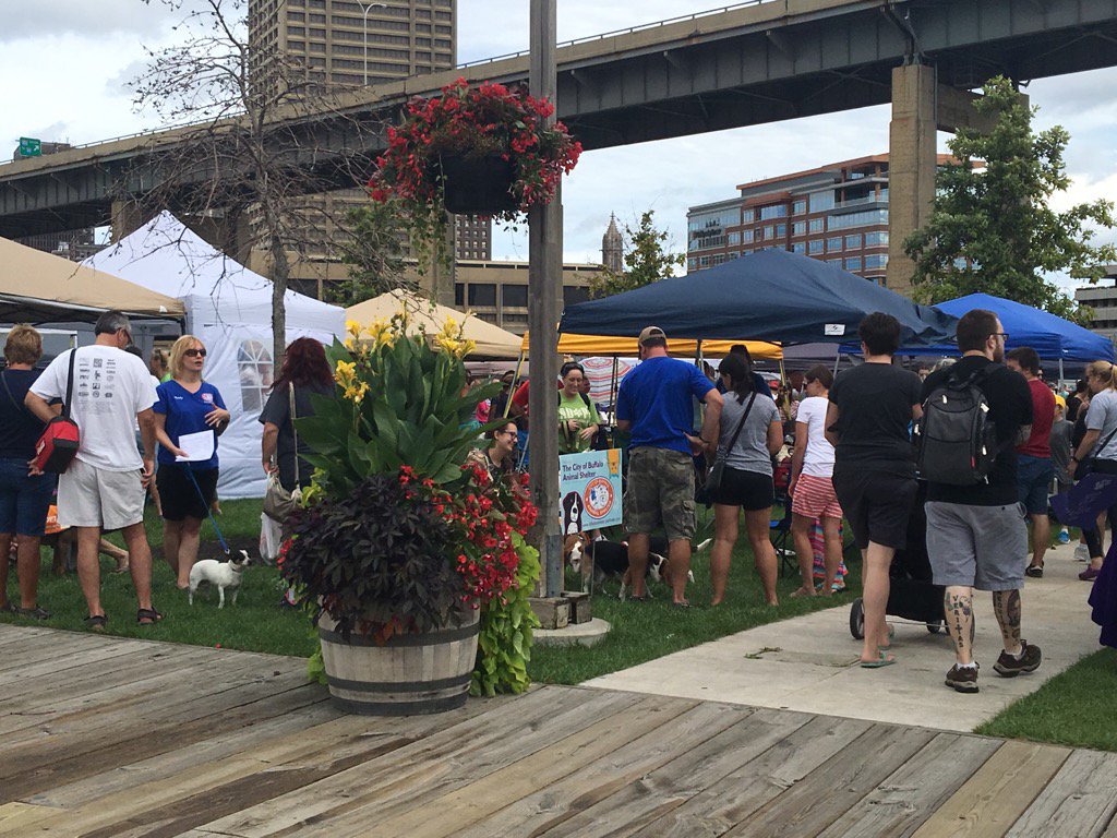 #Canalside has gone to the dogs. Huge adoption and awareness of #puppymills. #Buffalo #buffalowaterfront