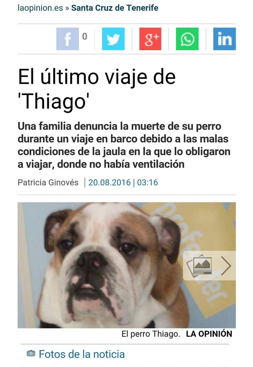 recuerdoanimal's tweet photo. PERRO MUERE TRAS VIAJE EN NAVIERA ARMAS

Obligado a viajar en las jaulas del garaje
Deben dejarlos ir en cubierta YA https://t.co/fYKKfhfQtt