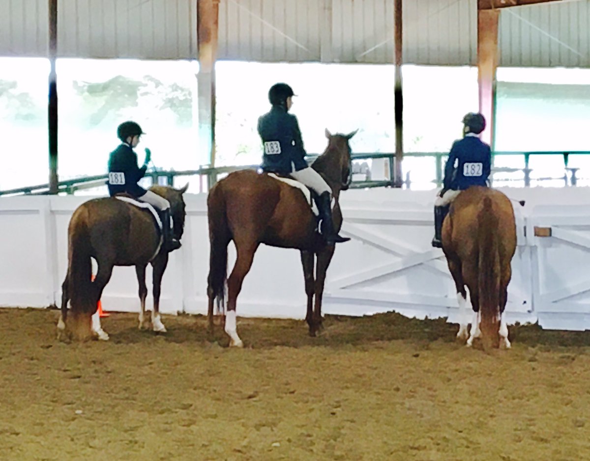 GrandviewFarms5's tweet photo. Ready and waiting ... #grandviewfarms #hunterjumper #cypresstx https://t.co/HL0Ie8GQlt