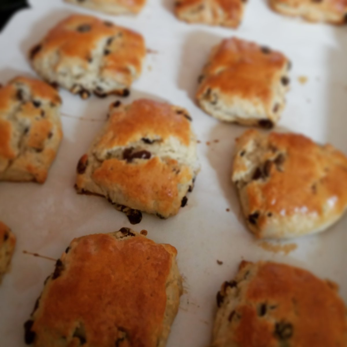 NotAlwaysBaking's tweet photo. #FromMyKitchen today: Fruit scones, recipe from @BertinetKitchen @BertinetBakery #Dough. #Homebaker #Homemade https://t.co/4yTrFKpRvG