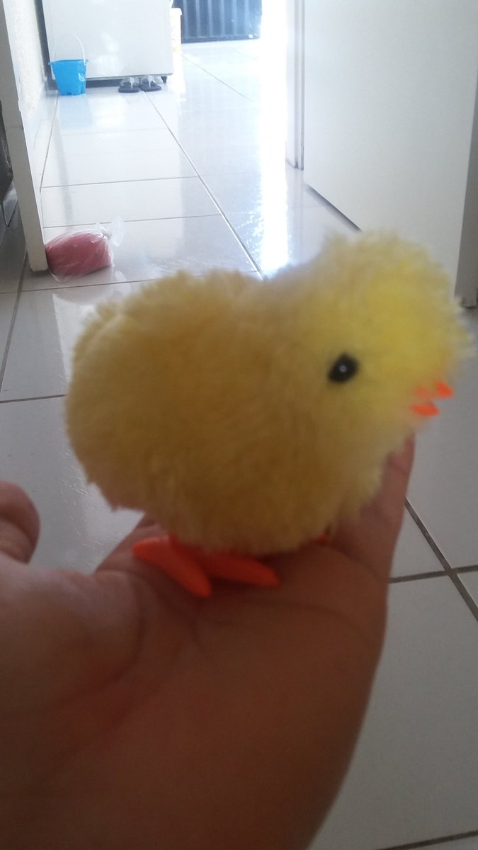 Meu pintinho amarelinhinho cabe aqui na minha mão,  na minha mão...  kkk