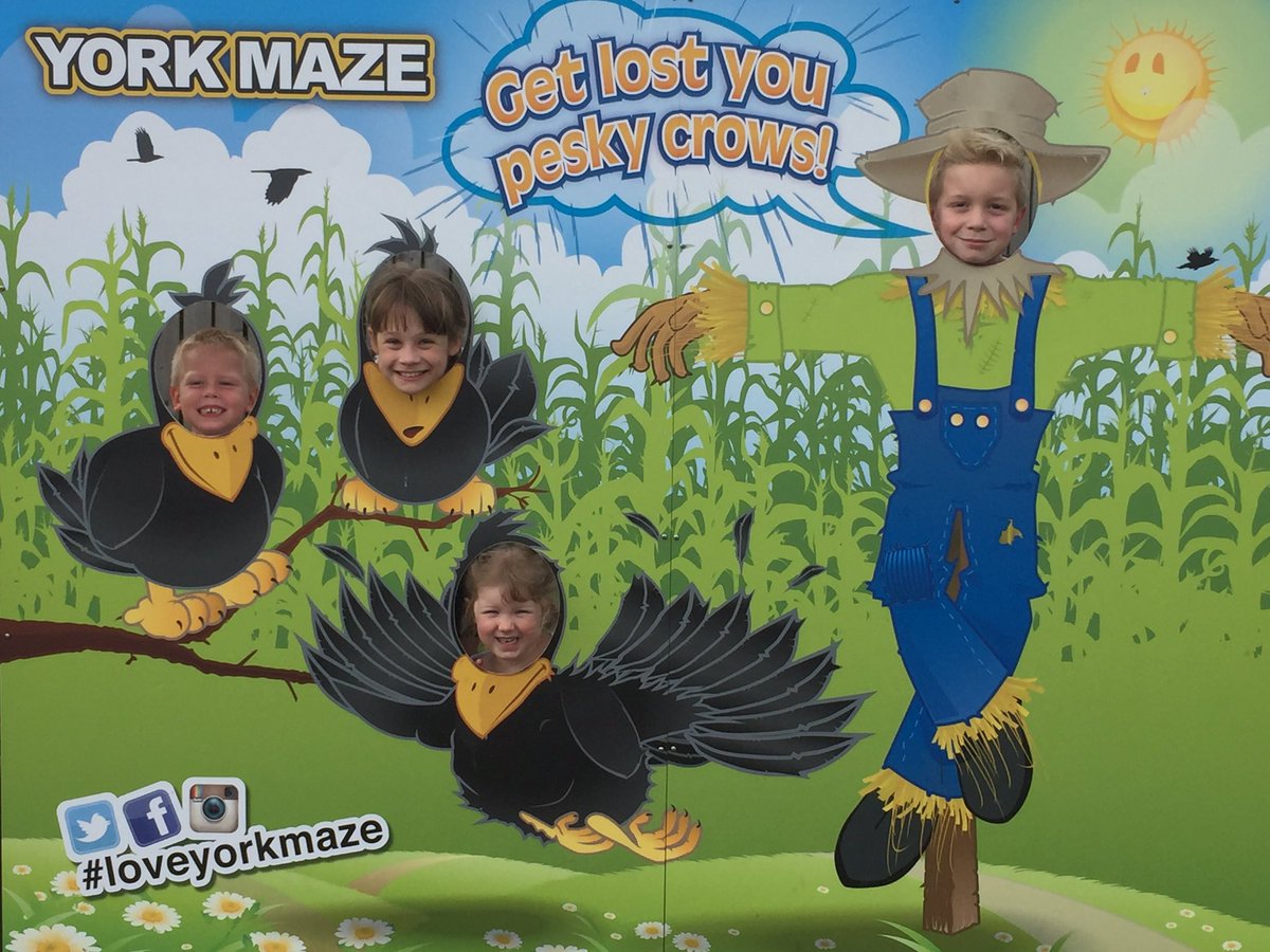NoonAngelanoon's tweet photo. Cracking day out @Yorkmaze #loveyorkmaze https://t.co/KEYc4i7lnY