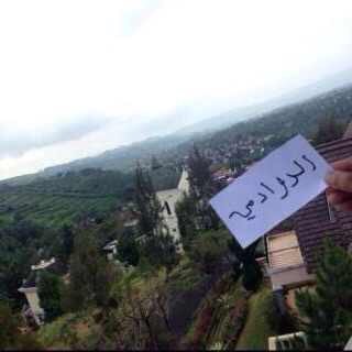 محمد الروقي tweet media