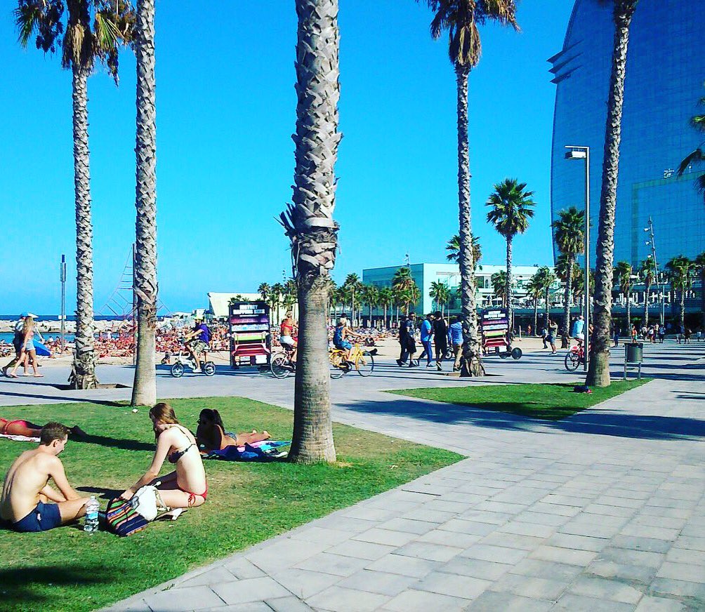 MarketMoving2's tweet photo. #streetmarketing #barça #bcn #promo #marketing #publicidad #video #youtube #cool #bicimupis #target #playa #turismo https://t.co/6TEWE4y6p0