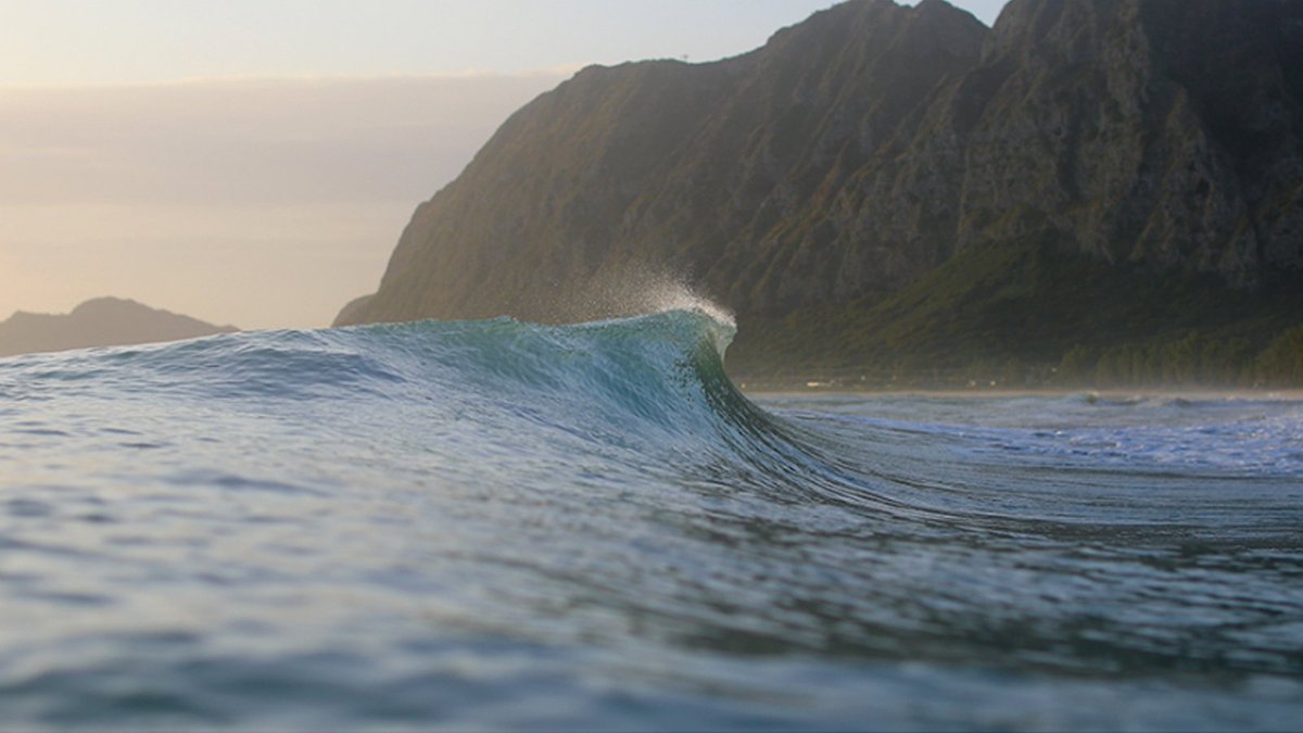 Surf #Photographer <a href="/ZakNoyle/">Zak Noyle</a> talks #EOS1DXMarkII canon.us/bH7PS