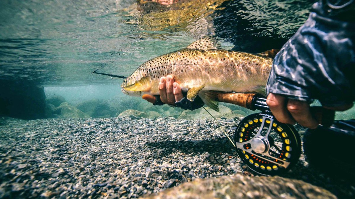 #looptackle 🇦🇺© Joshua Hutchins https://t.co/CDVxgKSj0I