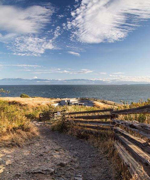 TVicBusiness's tweet image. Need some visit inspiration? Check out our @instagram feed at tourismvictoriabc. Credit: steveschmulandphoto via IG