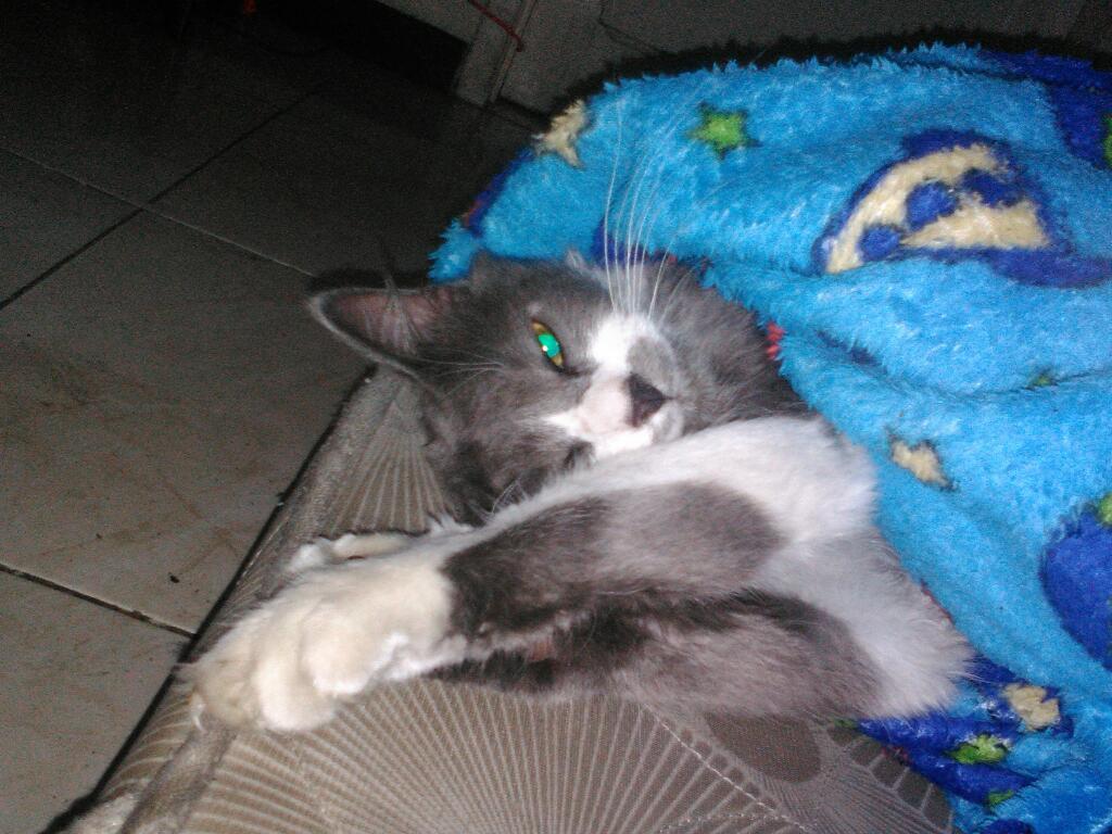 DistorsionBar's tweet photo. #DomingoDeFlojera https://t.co/luOyMp957F