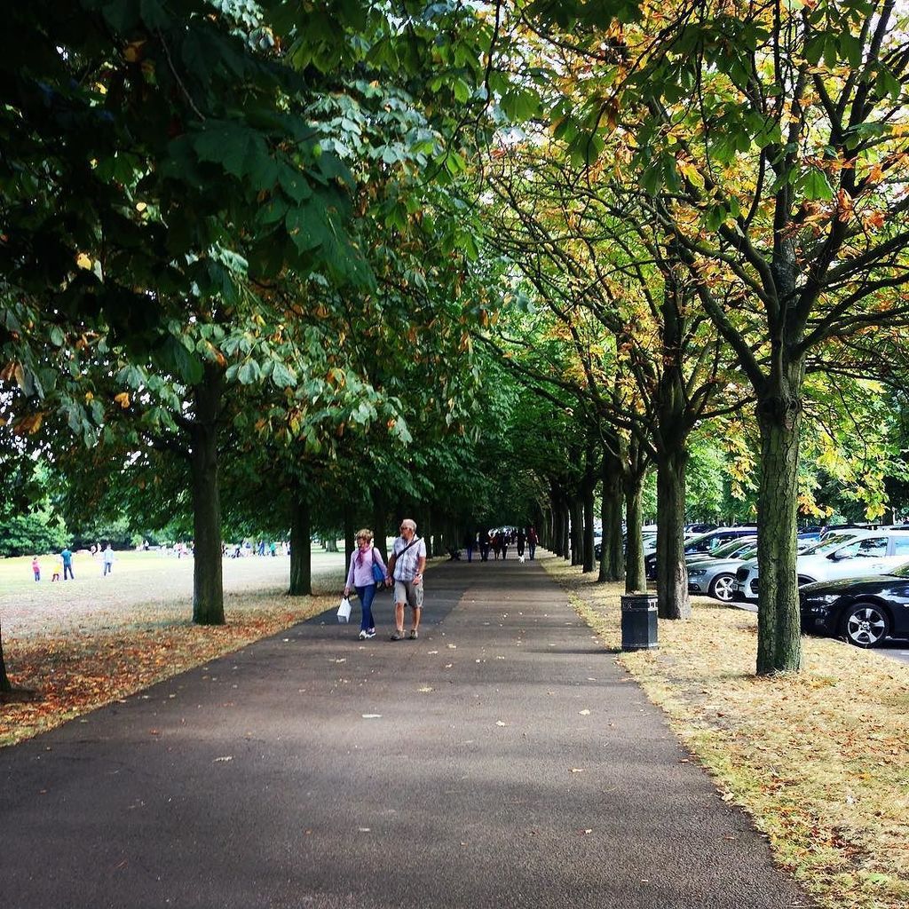 Trying to capture the last few weekends of #summer in #greenwichpark 🌿🍂🍃 #Greenwich #Green… ift.tt/2b9U0S2