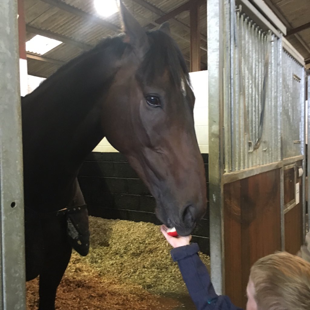 PillarPPartner1's tweet photo. Cyrius getting lots of attention at the open day yesterday @benpauling1 @oxoEloiseoxo https://t.co/sr1gujDJac