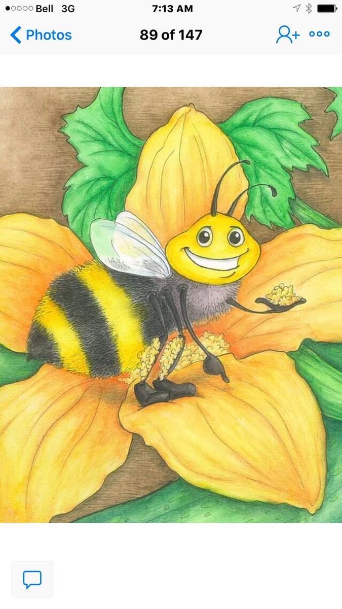 BrocAndCara's tweet photo. #brocandcara #bee #bees #beepollinator # beepollinators #pollination #pollinators #beerlovers #beehive https://t.co/8iRI5OA64C