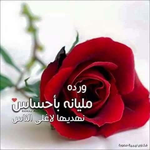 AMo7am's tweet photo. أهديها لاغلي الناس بحياتي واصدقائي المقربون ع تويتر !! https://t.co/6b4cJeM9zr