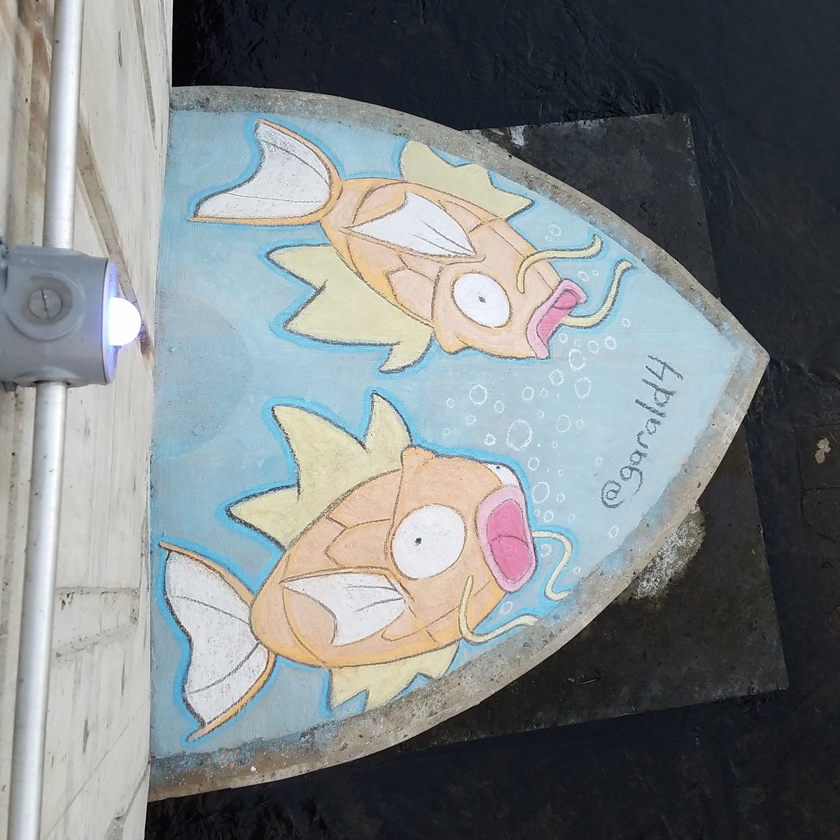 garald4's tweet photo. Magikarp. #pokemon #pokemongo #pokemongobc https://t.co/Nu1EjFCd3E