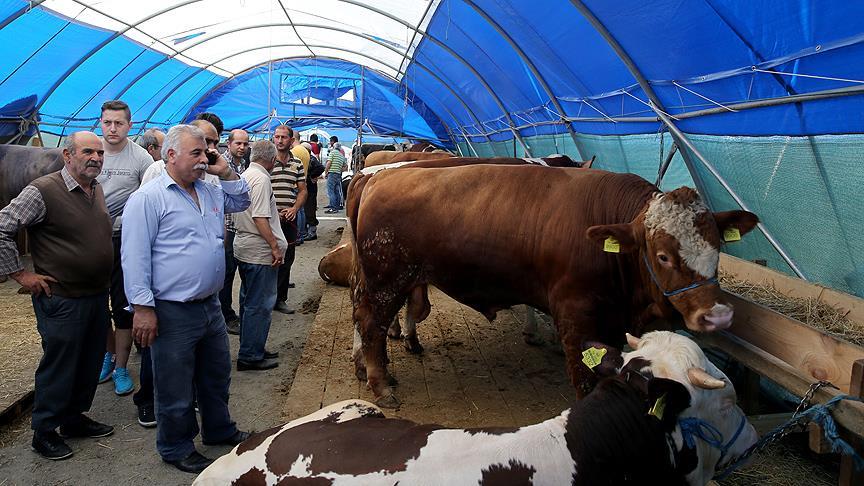 İstanbul Ajansı tweet media