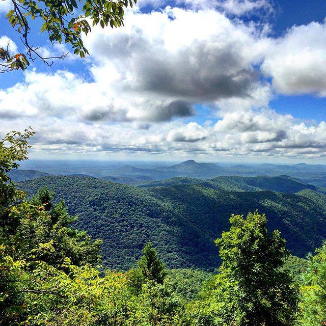 Beautiful Georgia tweet media