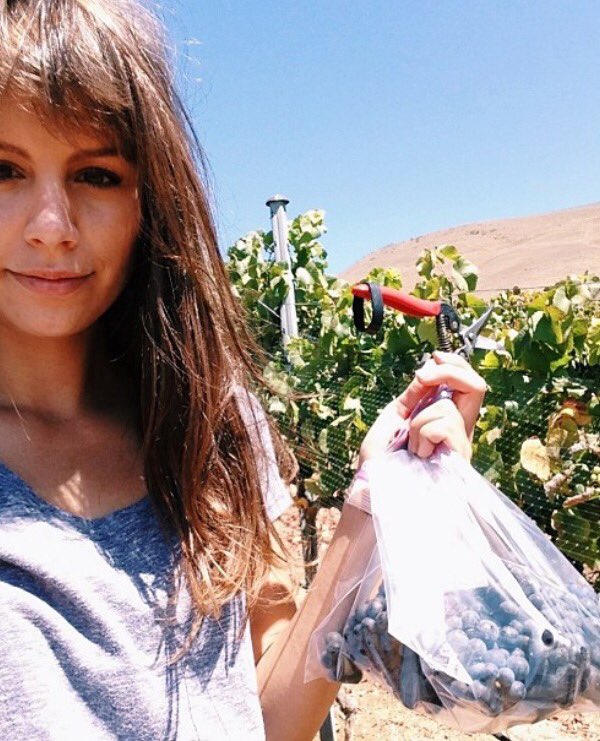 Exactly three years today, I was sampling the fruit that turned out to be the first vintage of RASI wine