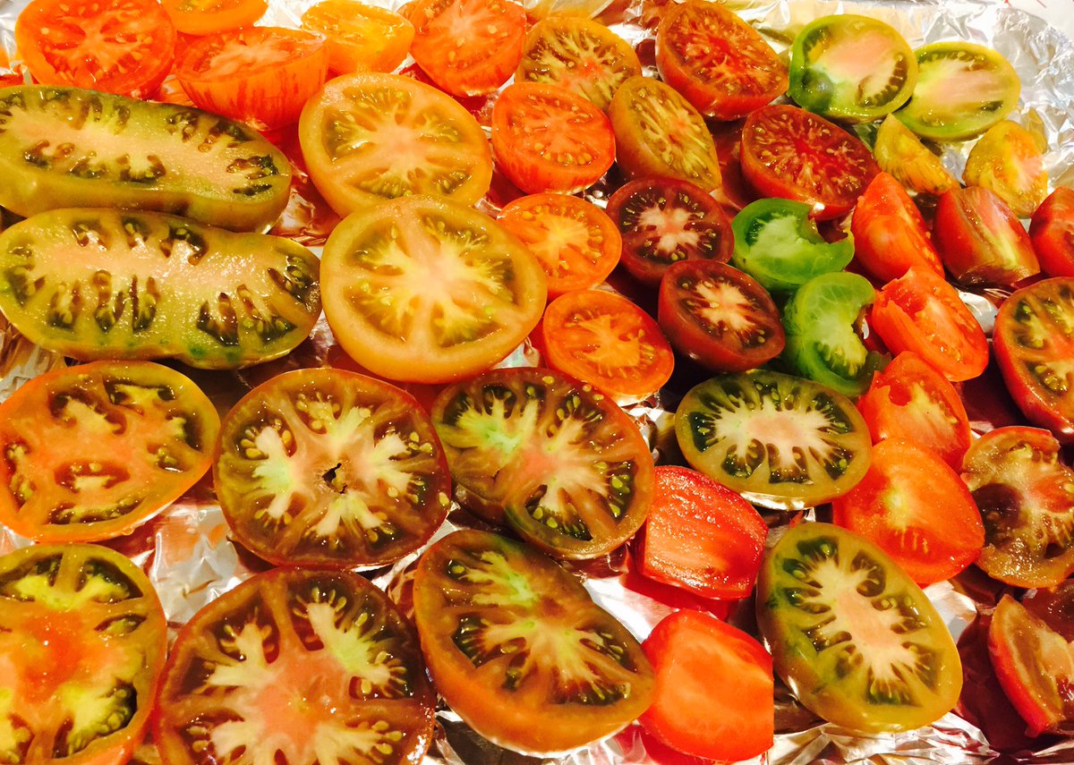 buzzzzsaw's tweet photo. Ready for a drizzle of EVOO & fresh herbs for roasting and later sauce! #UrbanGardening #TomatoesRule https://t.co/p93D7Qvs64