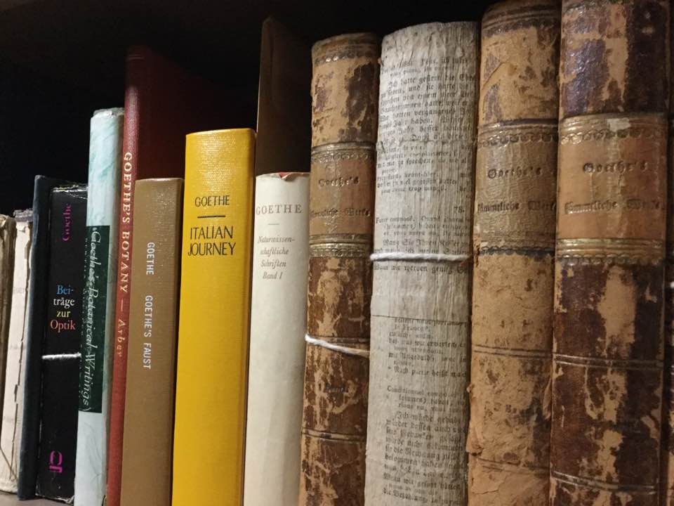 PalmeriJoAnn's tweet photo. From our stacks: #primarysources &amp; #secondarysources for the study of #Goethe (born #OTD 1749) #romanticism #histsci https://t.co/884rsDdveQ