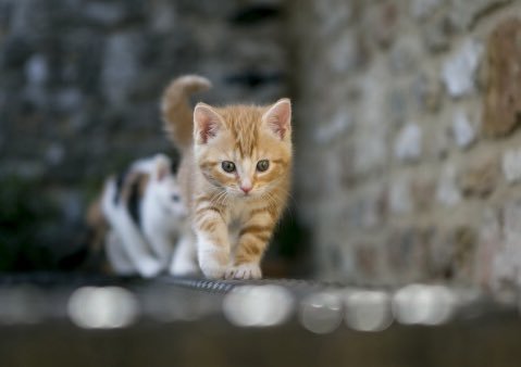 #مليكي_وفخري_سلمان
#قروب_بنت_الوطن
#قروب_ملك_للرتويت
#هوامير_تويتر_للدعم
#قروب_المقابيل_للدعم
#قروب_سلطان_للأضافات 1