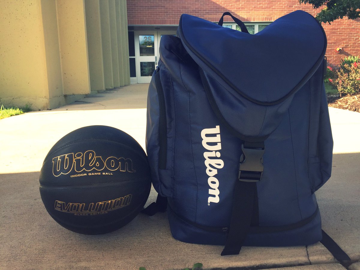 wilson basketball bag