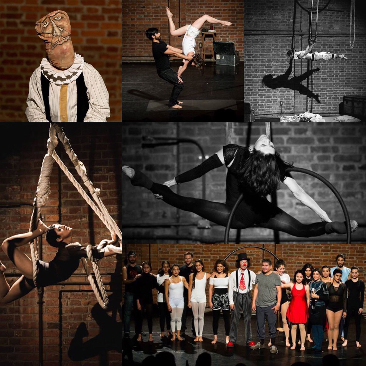 artesycirco's tweet photo. ⭐️ #artesycirco #DForo #circomx https://t.co/6Rdm0OXIIT