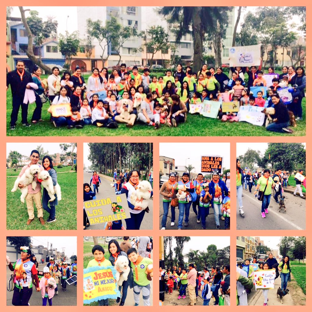 danielsolano89's tweet photo. Gran marcha de sensibilización "contra el maltrato animal" con los aventureros de la #MacroA Santa Anita y Vitarte https://t.co/gzFutxKH6s