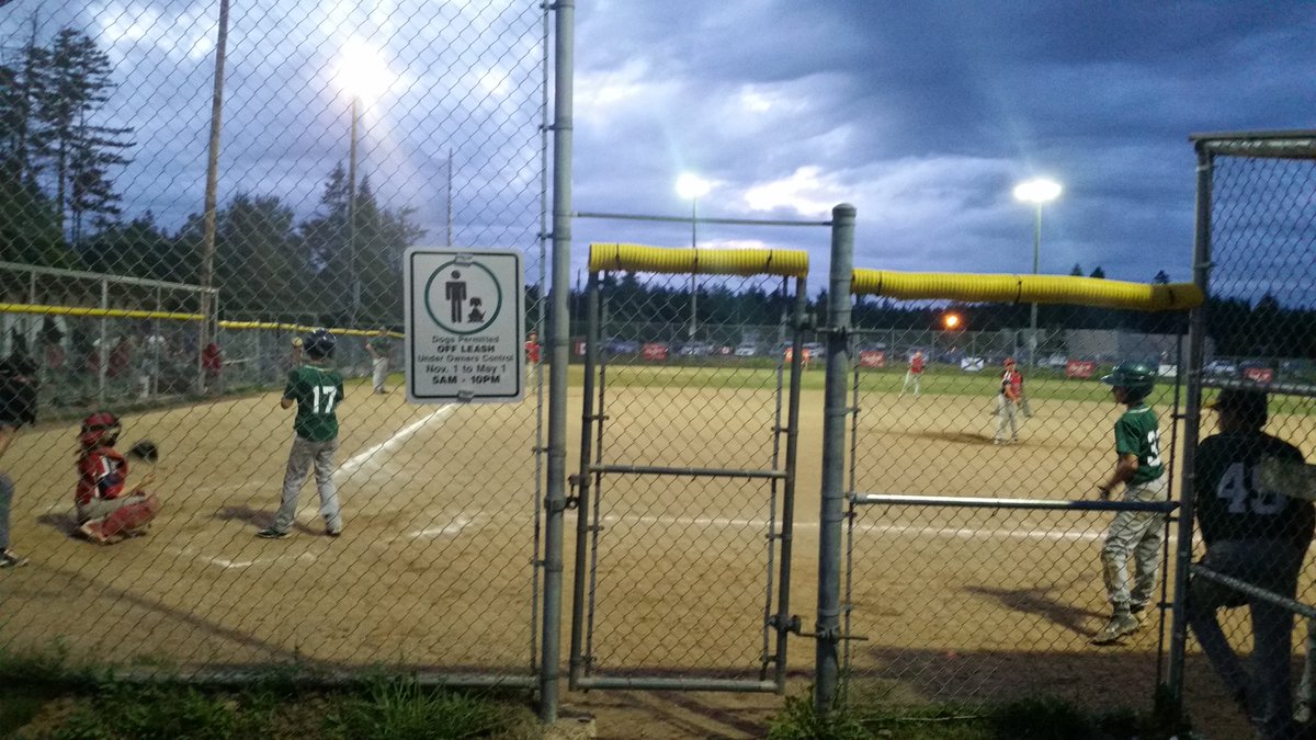 hollyla1's tweet photo. Quite a crowd watching the @BNSprovincials final between #TriCounty and @HPAsBaseball 13UAAA #SummerPerfectGame https://t.co/MOftE8VKK1