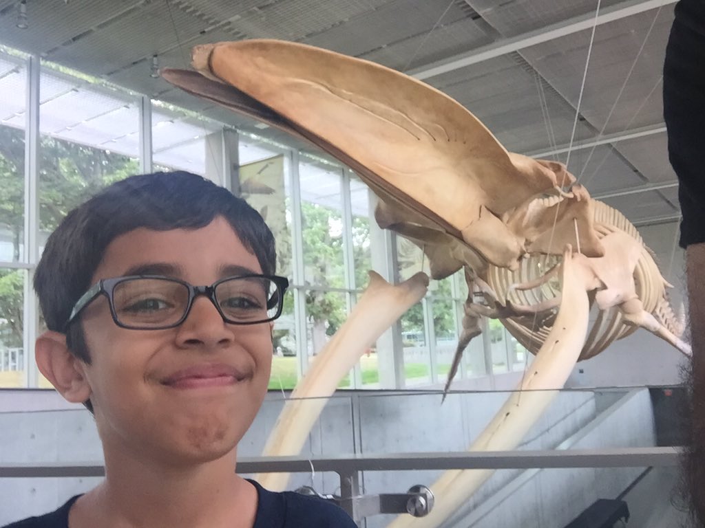 mansoorsarwar's tweet photo. #whelfie @beatymuseum such a wonderful collection of biodiversity! https://t.co/YPLGqxqejm