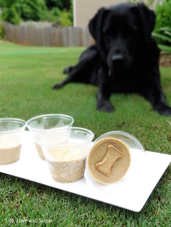 GoodSitDogs tweet picture