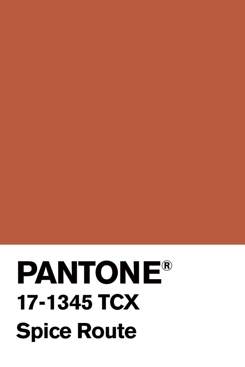 hnnh_lee's tweet photo. My #ColorOfTheDay #August21th @pantone #SpiceRoute...
Doing my #route to #reverse...
#MoodColor #ColorInspiresMe https://t.co/U1VHo2qivY