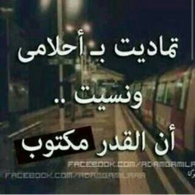 عاشت ايدك
#تعشك وتنسه #وتروح
تدري باجر ينضرب بيك #المثل
انت مو #بيك الخلل 
#لامستحيل حشه احساسك 
انه بحساسي #الخلل