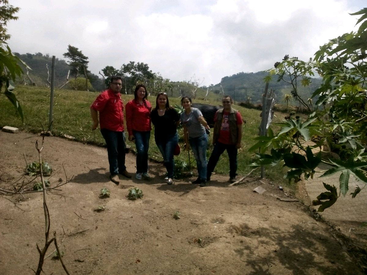 jennyipostel's tweet photo. @NicolasMaduro @aristobulopsuv Ipostel impulsar junto al Banco Bicentenario del Pueblo Credijoven #TarifasIpostel https://t.co/UHiTwTfpN4
