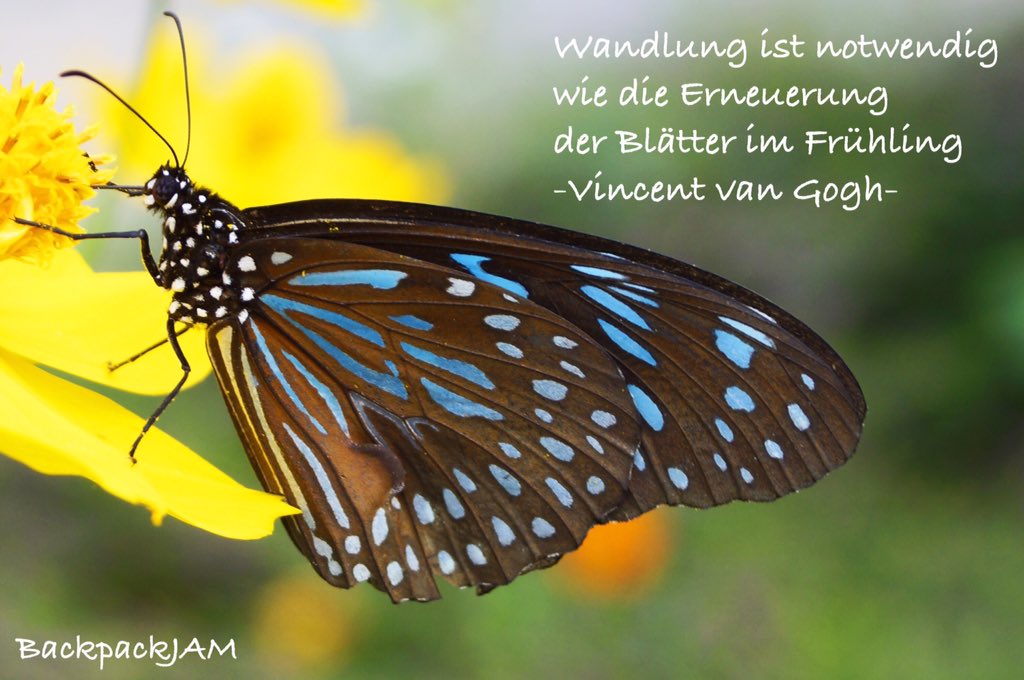 Wandlung ist notwendig, wie die Erneuerung der Blätter im Frühling. - Vincent van Gogh #wandlung #motivation
