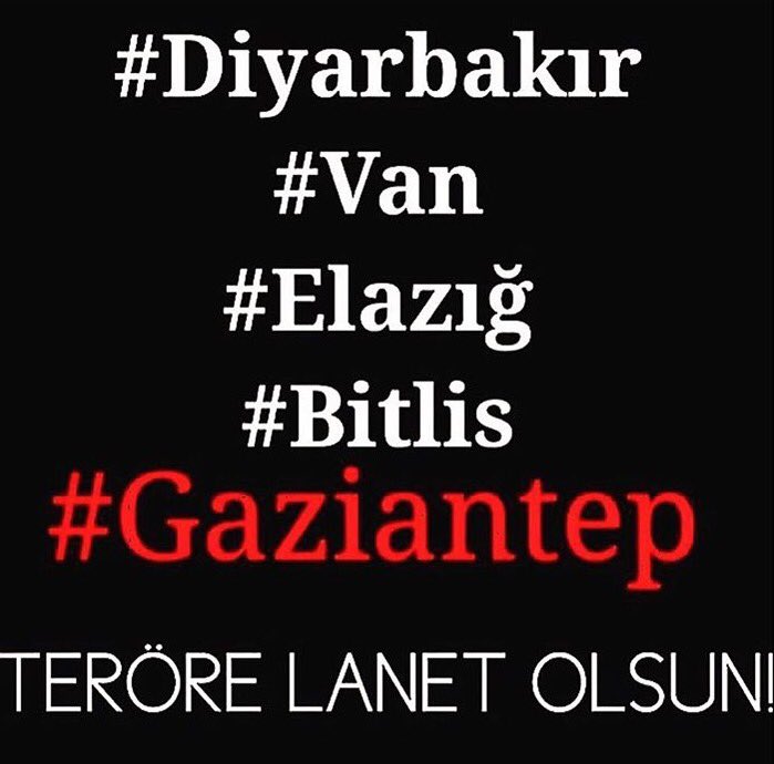 cool roby tweet media