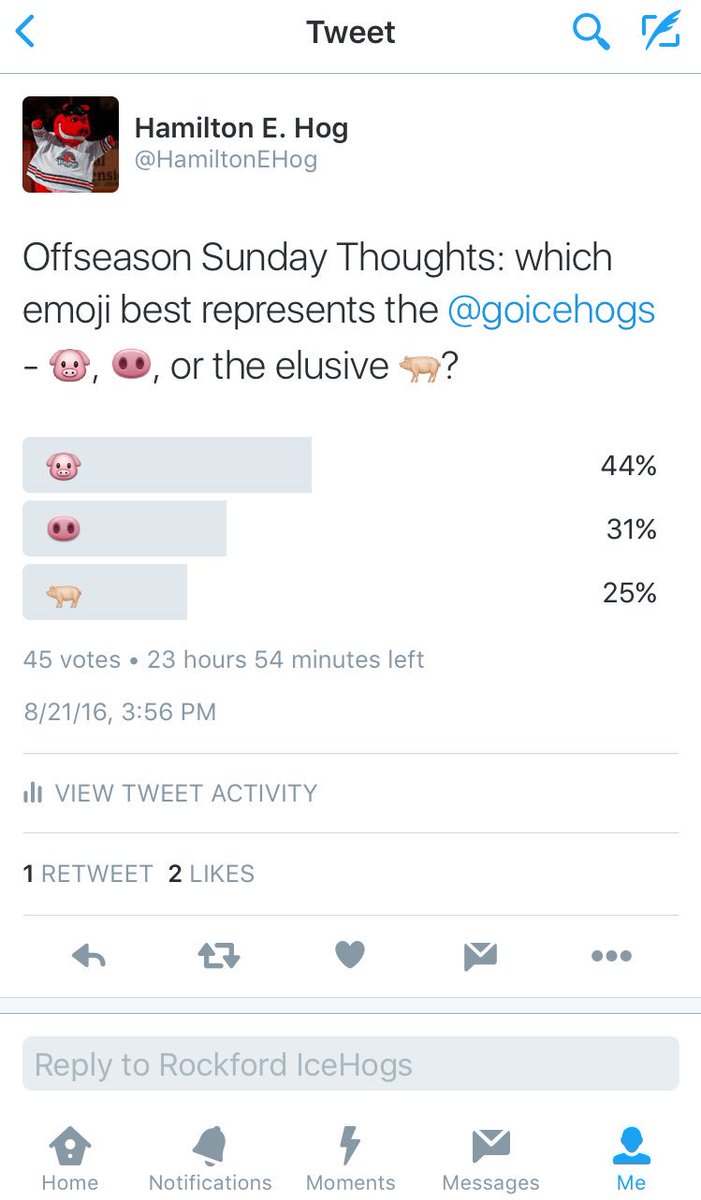 HamiltonEHog's tweet photo. 6 minutes in and already an interesting start... My bacon's on 🐷, but I love an underdog story https://t.co/yQmuOcaBO5