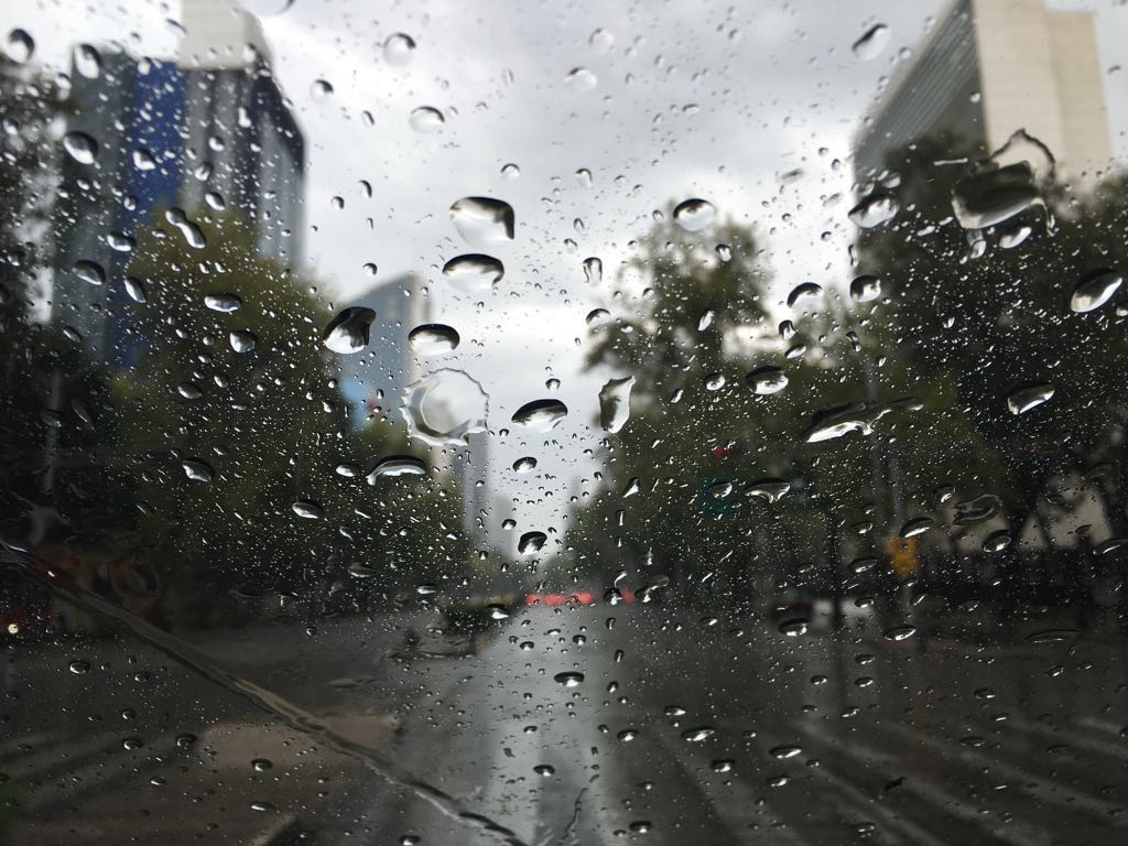 LiliaMerodio's tweet photo. Nos tocó tarde lluviosa en la Ciudad de México. ¡A disfrutar el día! #FelizDomingo https://t.co/Dsseoq91Ye