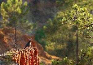 loginovtoch's tweet image. SAM_2238.jpg fotki.yandex.ru/users/toshiba-…