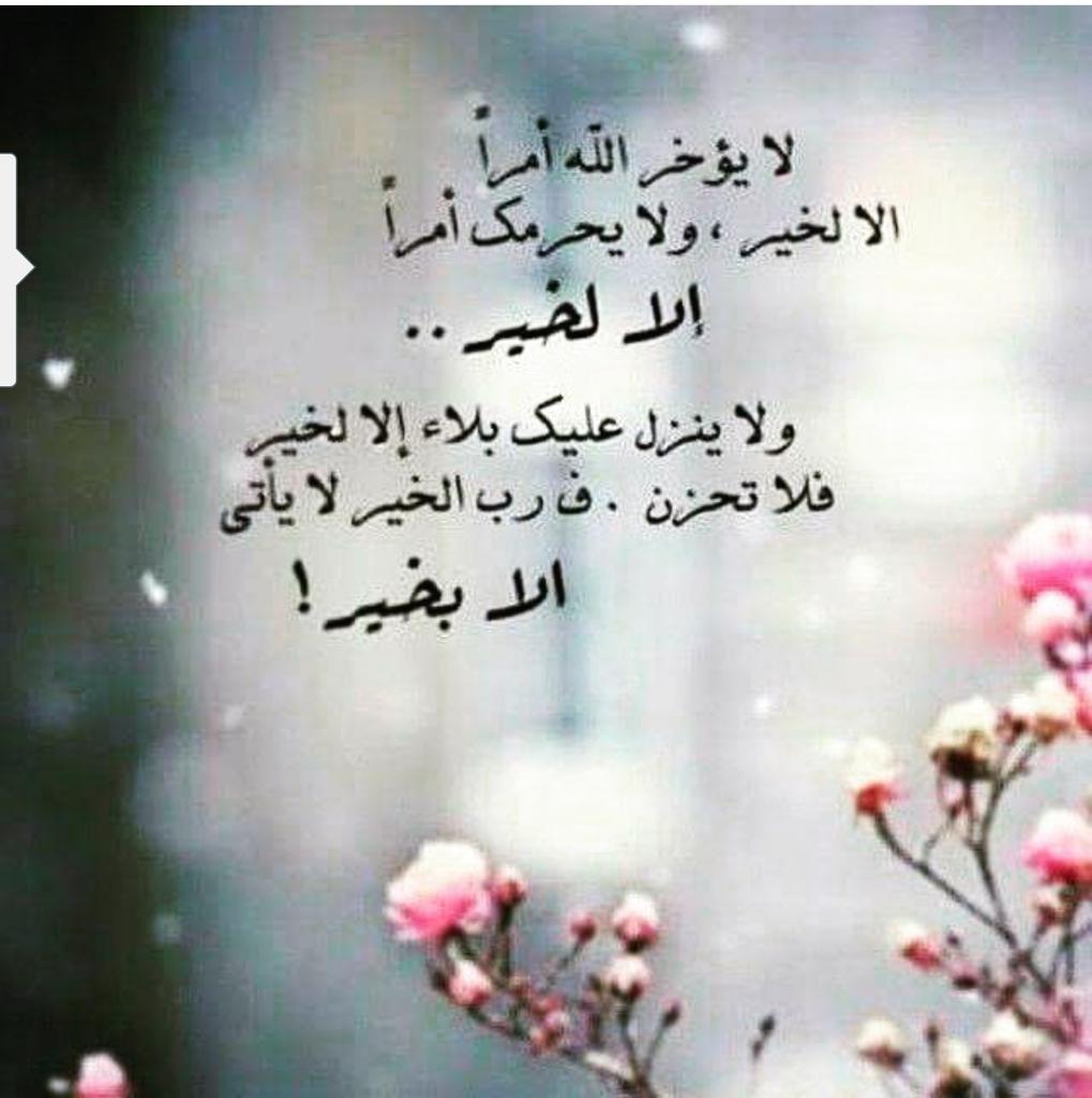 قطر الندى (@mohmed999375) on Twitter photo 