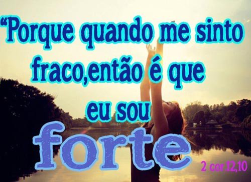 AlexandreAlexe1's tweet image. 