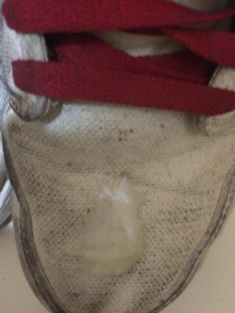 keeeta_ero's tweet photo. 今日の収穫 https://t.co/Oki01KVBq1