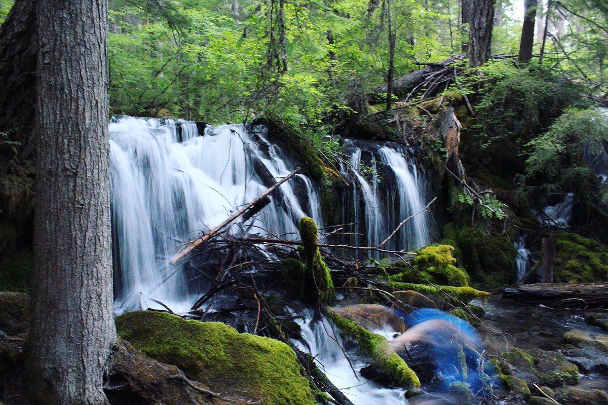 freundev's tweet photo. shadowing Pearsony Falls with Sean! 🌎🌿 https://t.co/YnaVoFN2Ow