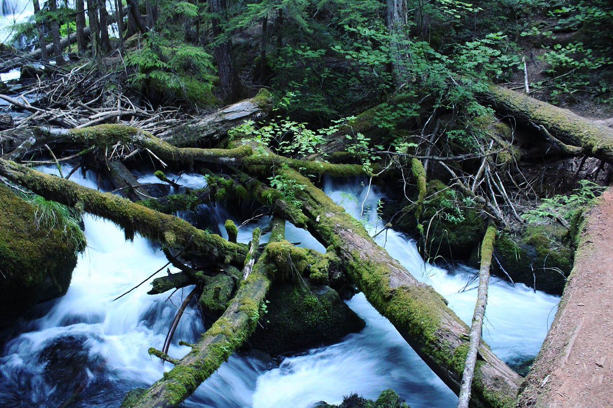 freundev's tweet photo. shadowing Pearsony Falls with Sean! 🌎🌿 https://t.co/YnaVoFN2Ow
