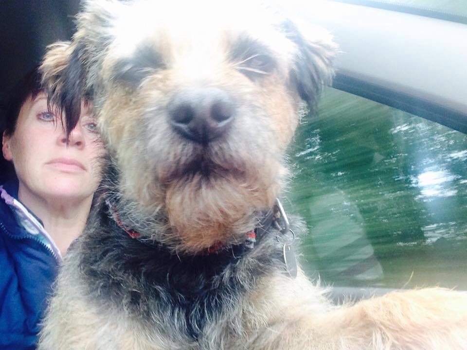 stan_border's tweet image. Dashboard selfie after a long day...