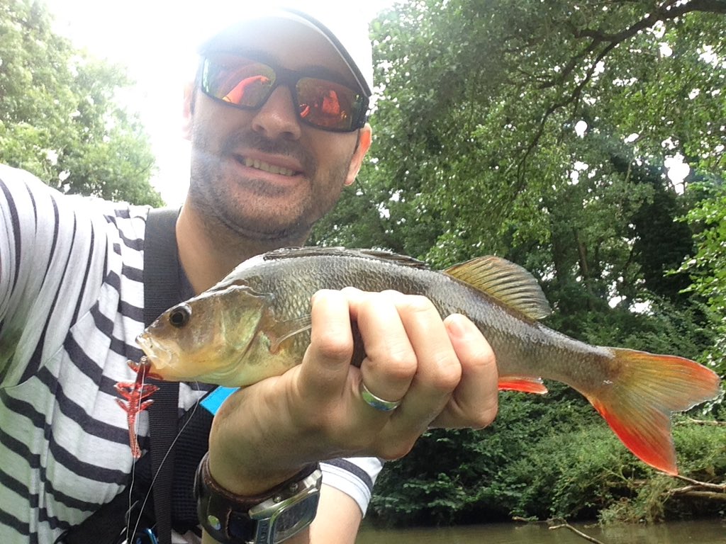 catman161's tweet photo. Awesome day on the canal with new @RaptureLuresUK water shrimps on dropshot. 15 zander &amp; 5 perch. https://t.co/j1mwYjoQYE