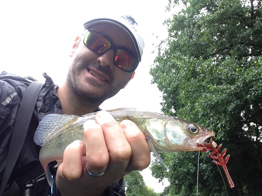 catman161's tweet photo. Awesome day on the canal with new @RaptureLuresUK water shrimps on dropshot. 15 zander &amp; 5 perch. https://t.co/j1mwYjoQYE
