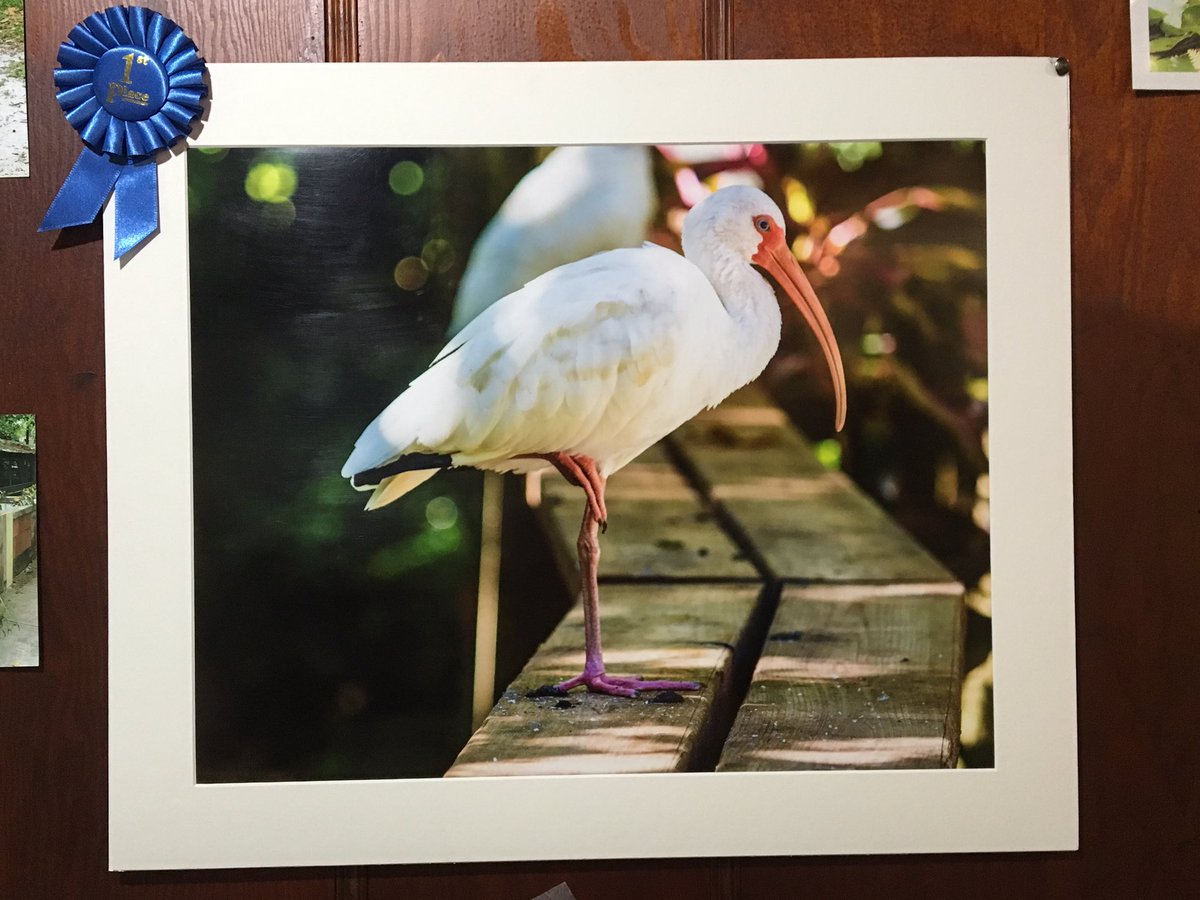 WonderGardens tweet media