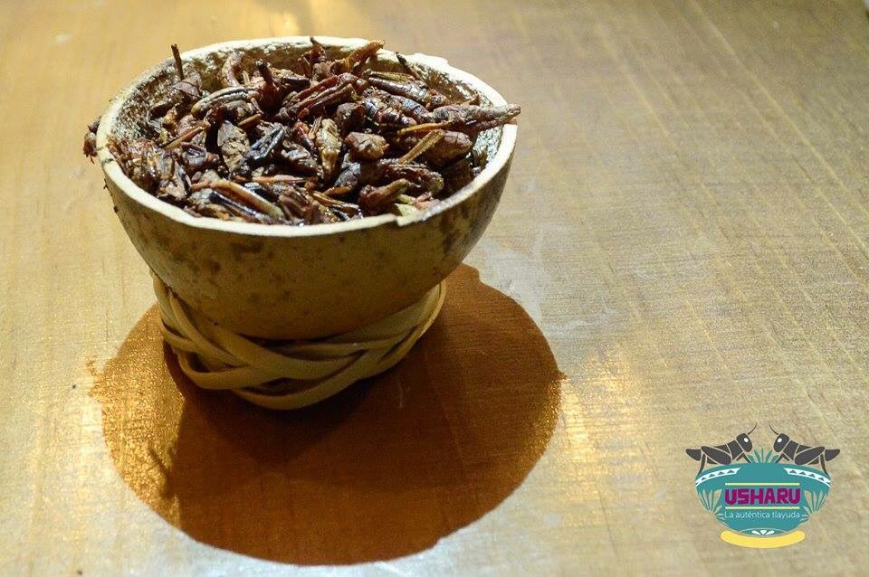 Qué esperan para venir a Usharu #LosChapulines los esperan #Delicioso #Domingo