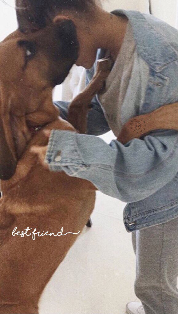 lockzscreen's tweet photo. Ariana Grande 🐱
✧ rt if you save it
✧ fav if you liked
/ste https://t.co/Y8DBzEXuPP