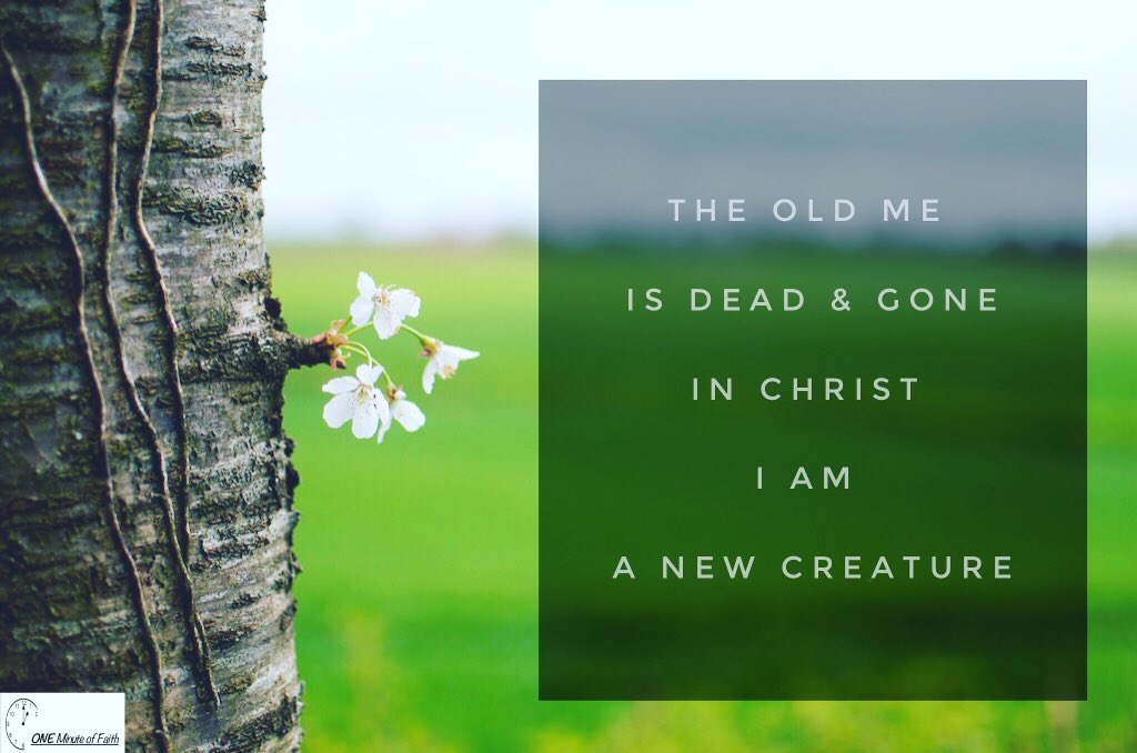 1minutefaith's tweet photo. Your past doesn't matter!! Jesus Christ has made you new!!! 
#Jesus #HolySpirit #Church #Christianquotes https://t.co/M3Pc0fYssf